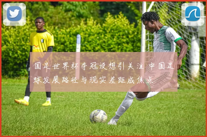 国足世界杯夺冠设想引关注 中国足球发展路径与现实差距成焦点