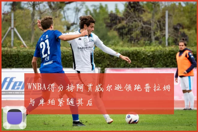 WNBA得分榜阿贾威尔逊领跑普拉姆与库珀紧随其后